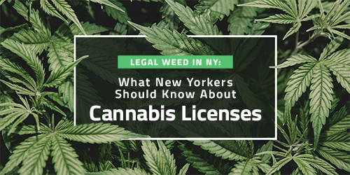 Legal Weed in NY: What New Yorkers Should Know About Cannabis Licenses